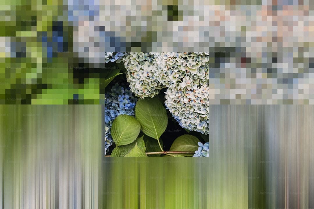 国家助学贷款该怎么申请?